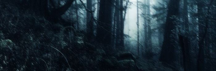 FaeTree (COMMS OPEN) banner