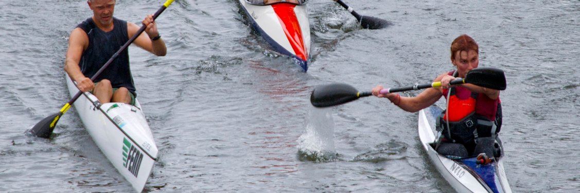 Agneta Bergman  Fred banner