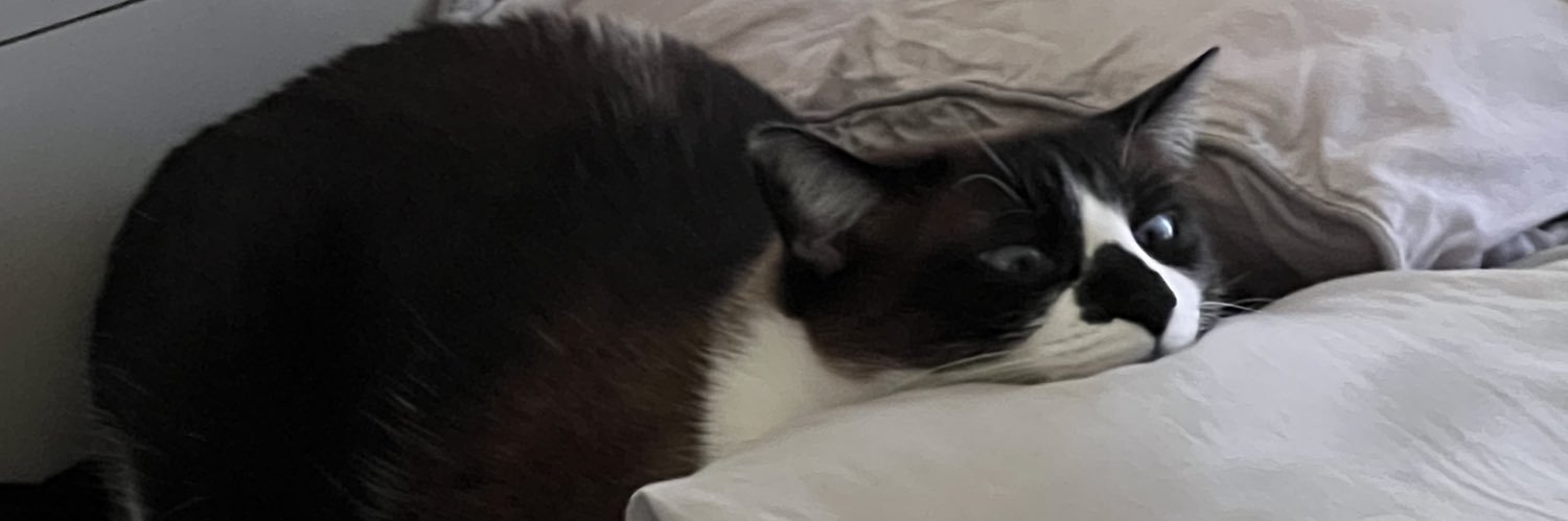 Ary._.Art #LPP banner