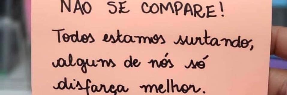 Maria Fernanda banner