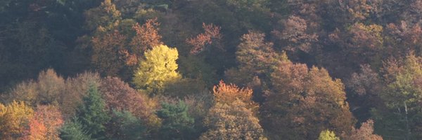 HansBalmes Profile Banner
