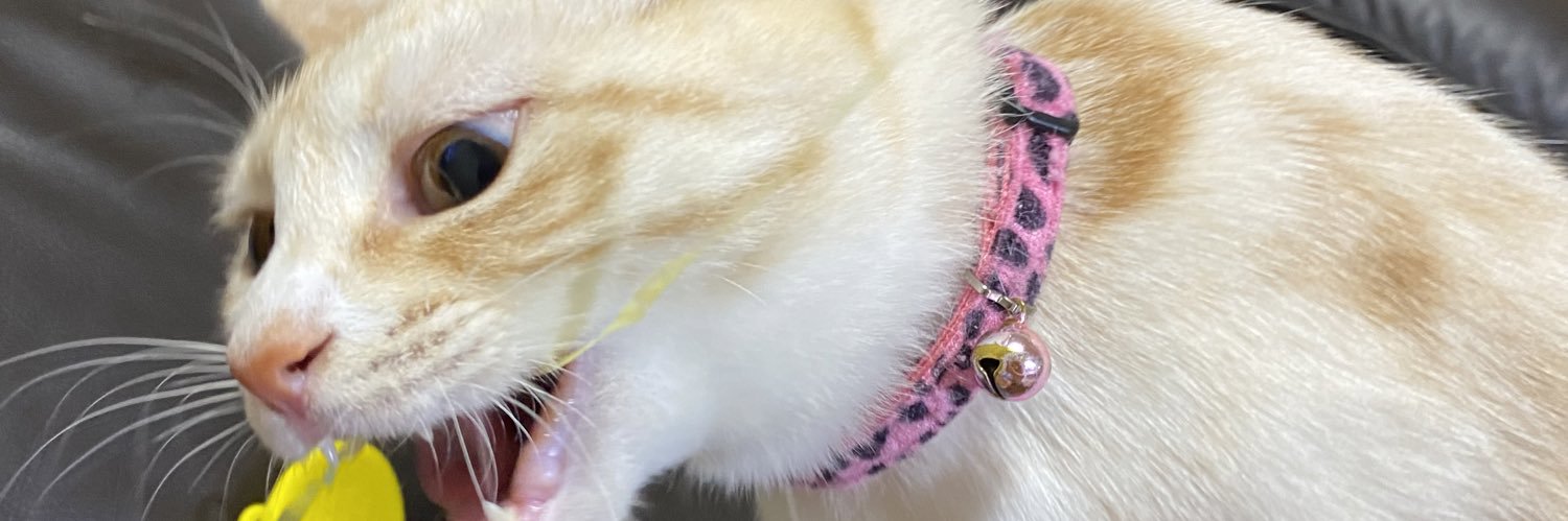 ChopperReppy's profile banner image