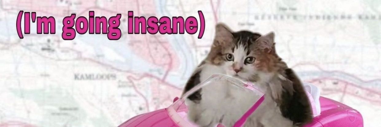 jijipuffs's profile banner image