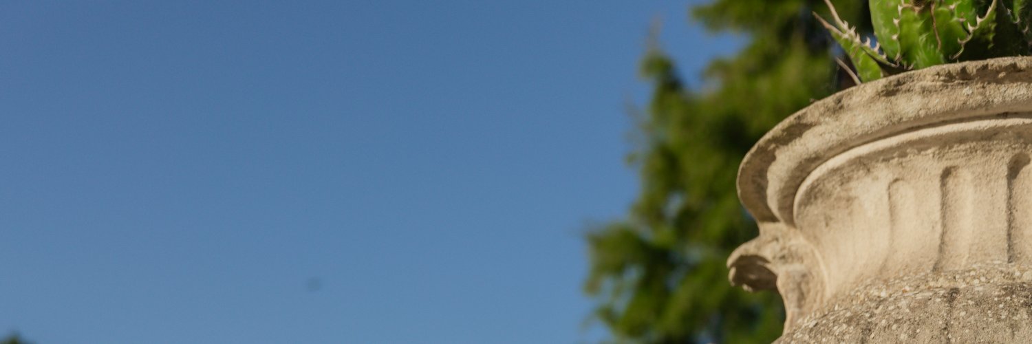 Whitney Magic banner