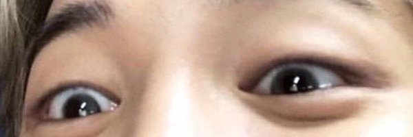 mapleboiii Profile Banner