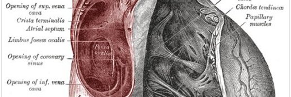 m_zawadka Profile Banner