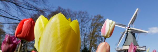 shijunbilly's profile banner image