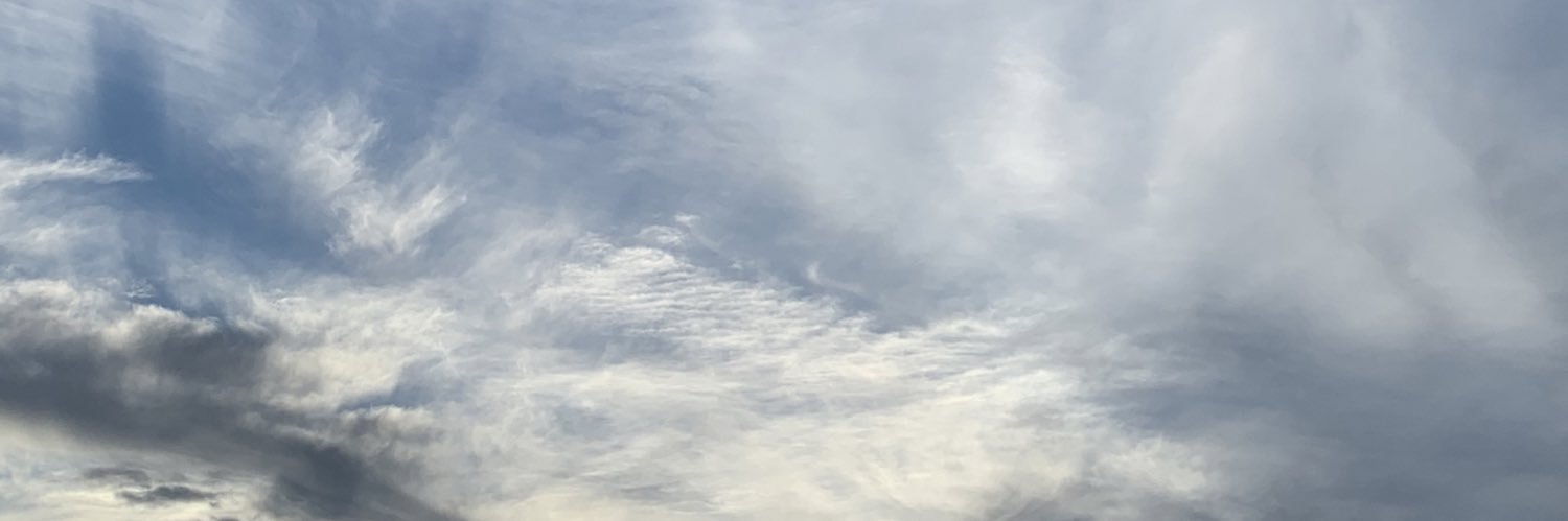 manasamis's profile banner image