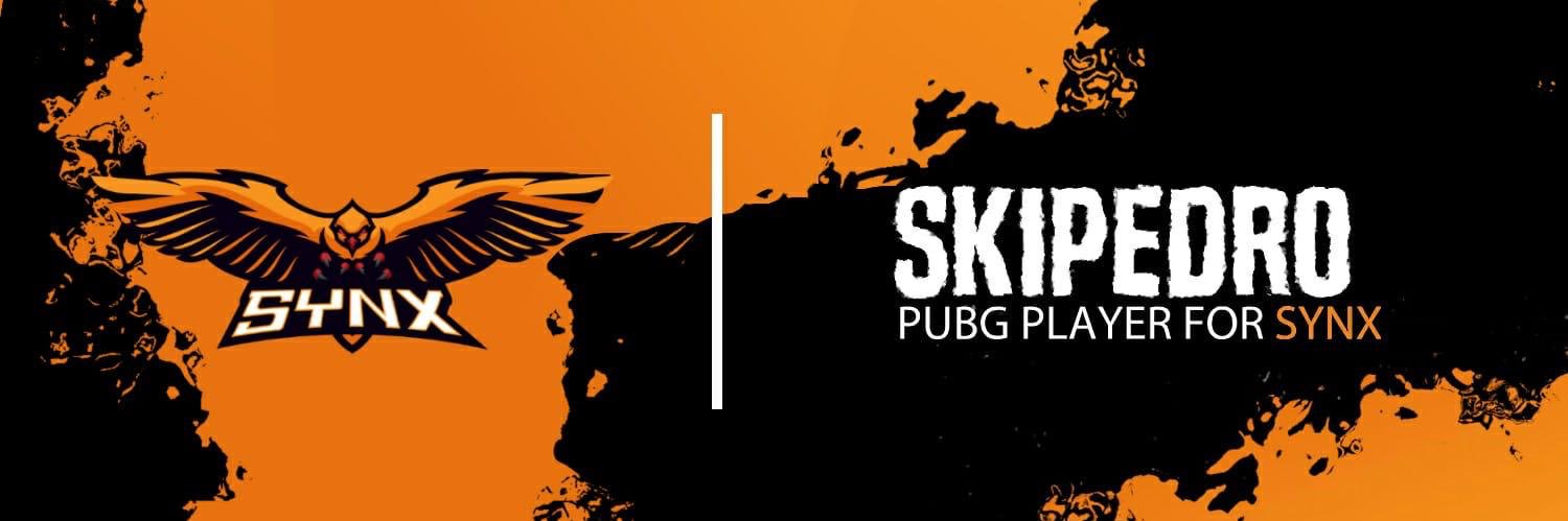 SKiPedro banner