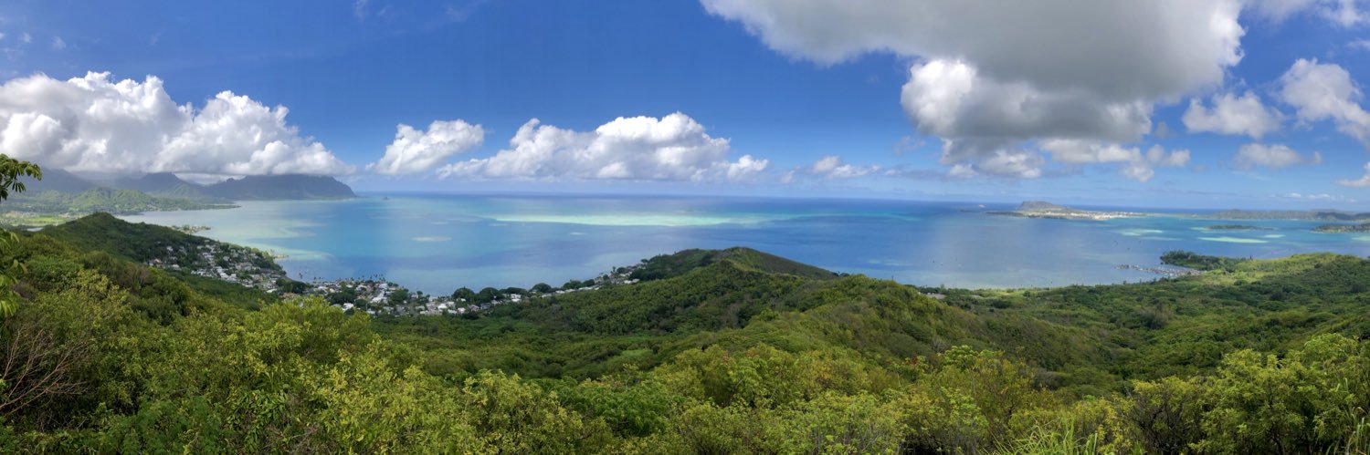 Jason Weintraub banner