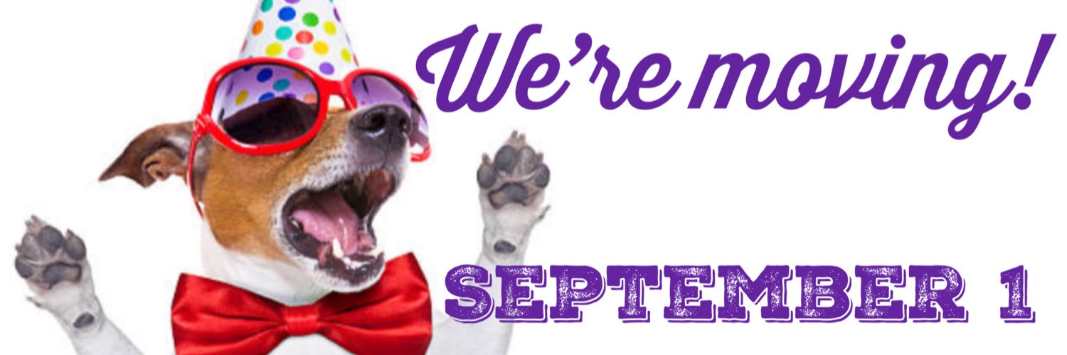DOGAHOLICSdogs's profile banner image