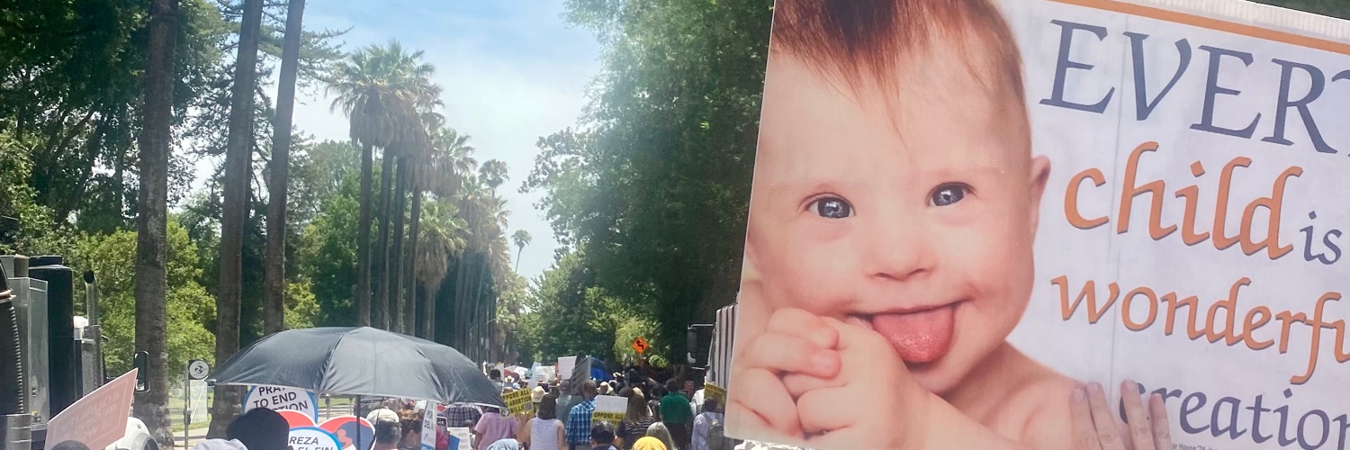 Catherine Olohan banner