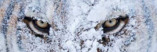HeyyKiim's profile banner image