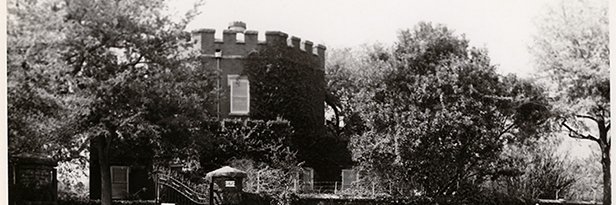 waringlibrary's profile banner image