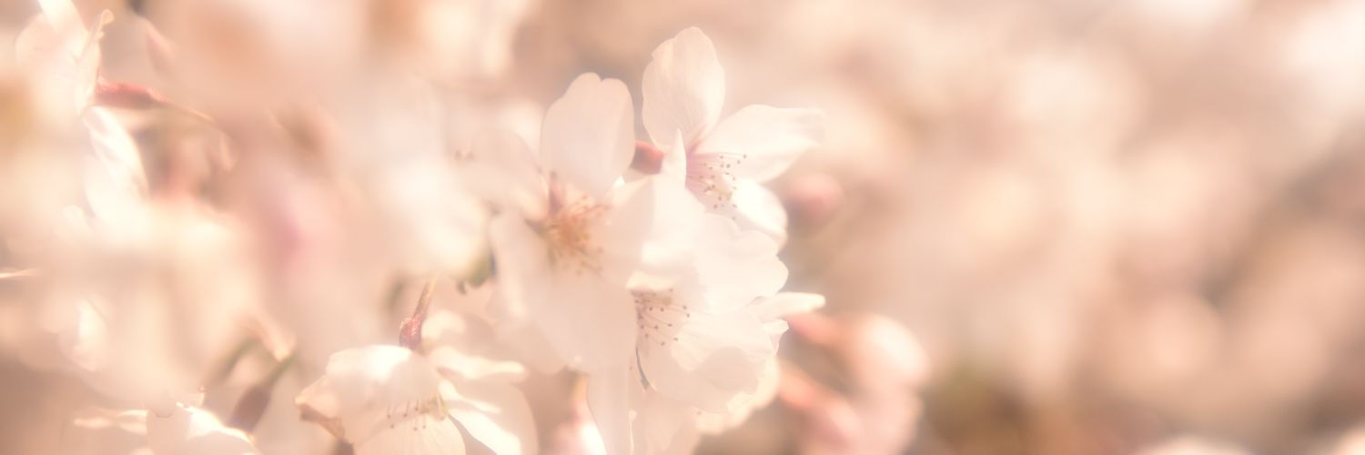 api24xx's profile banner image