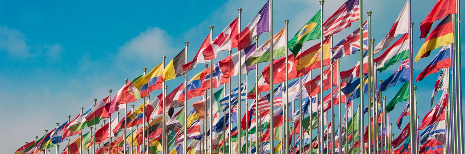 VVD Internationaal banner