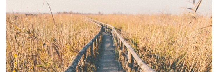 2paddingtonbear's profile banner image