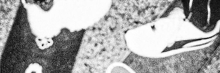 a/r closed banner