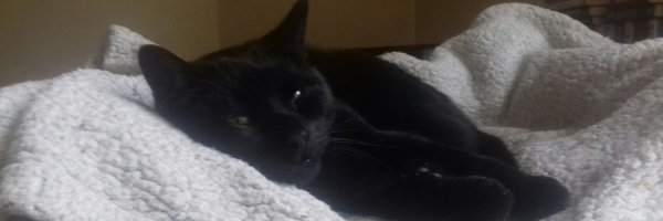 lazyfred1971 Profile Banner