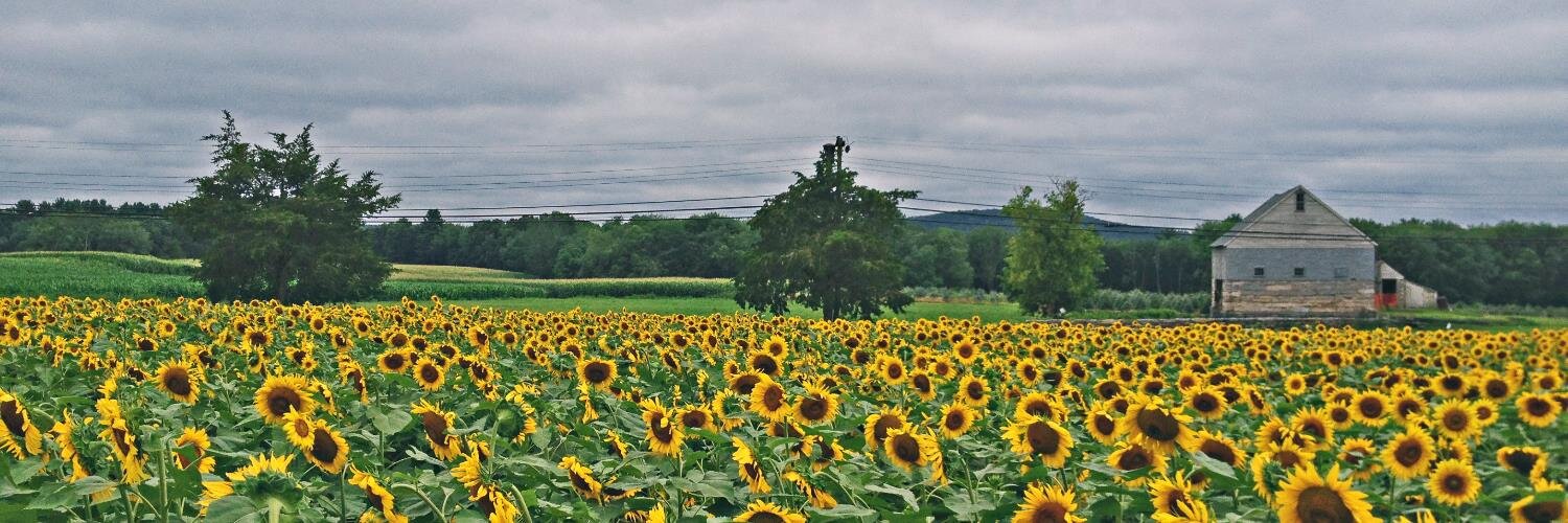 PhotogKeli's profile banner image