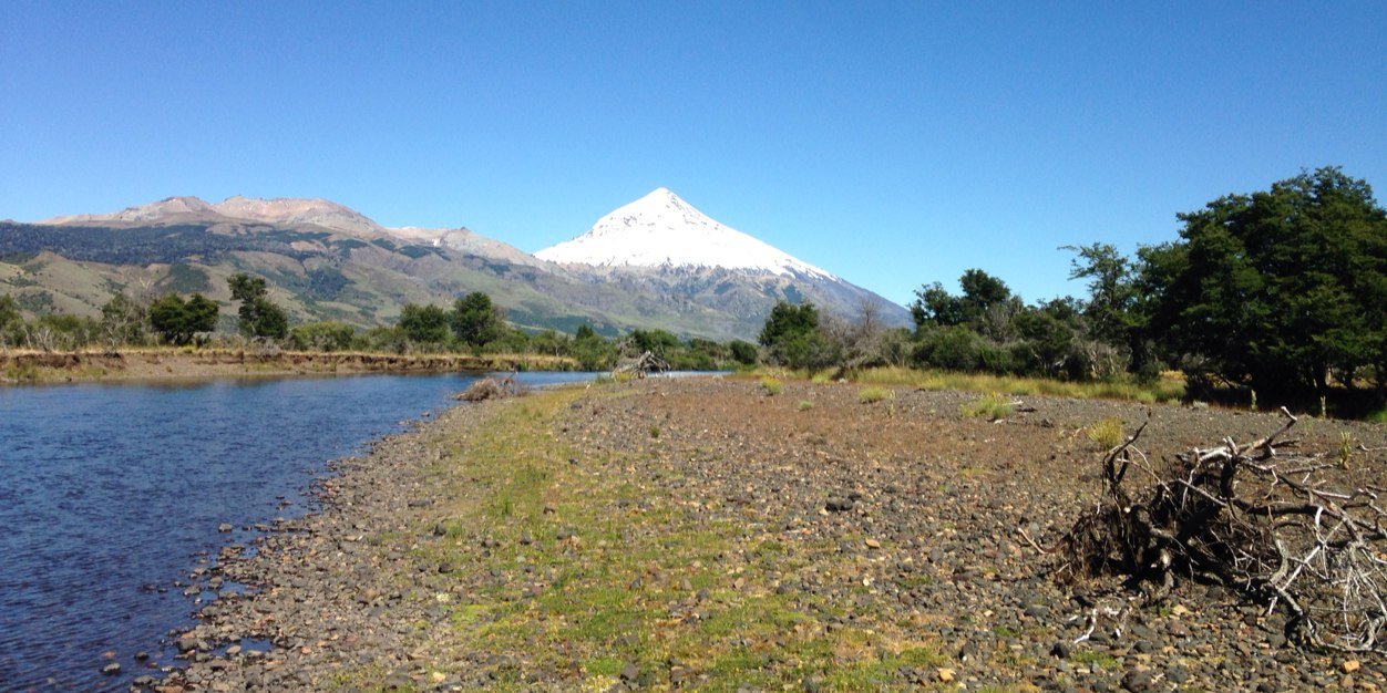 Evan Bienstock banner