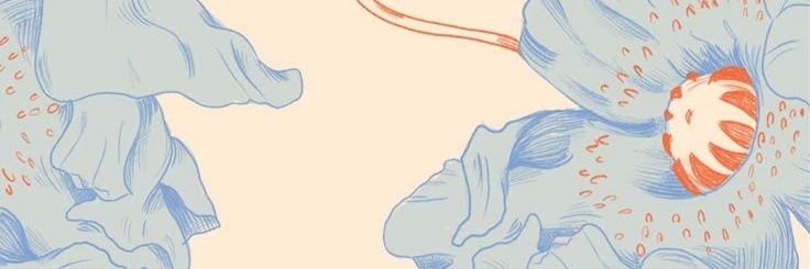 Mfischerr's profile banner image