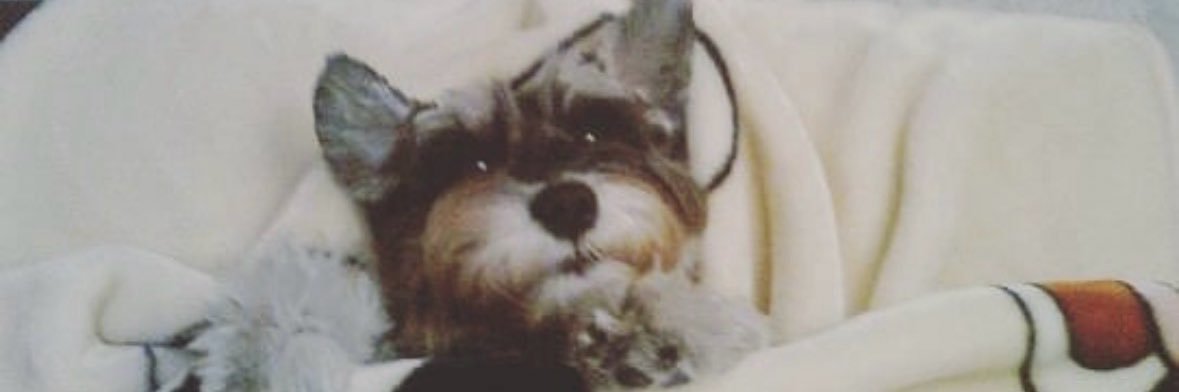 ✩₊˚.⋆ erica ☾⋆⁺₊✧ banner