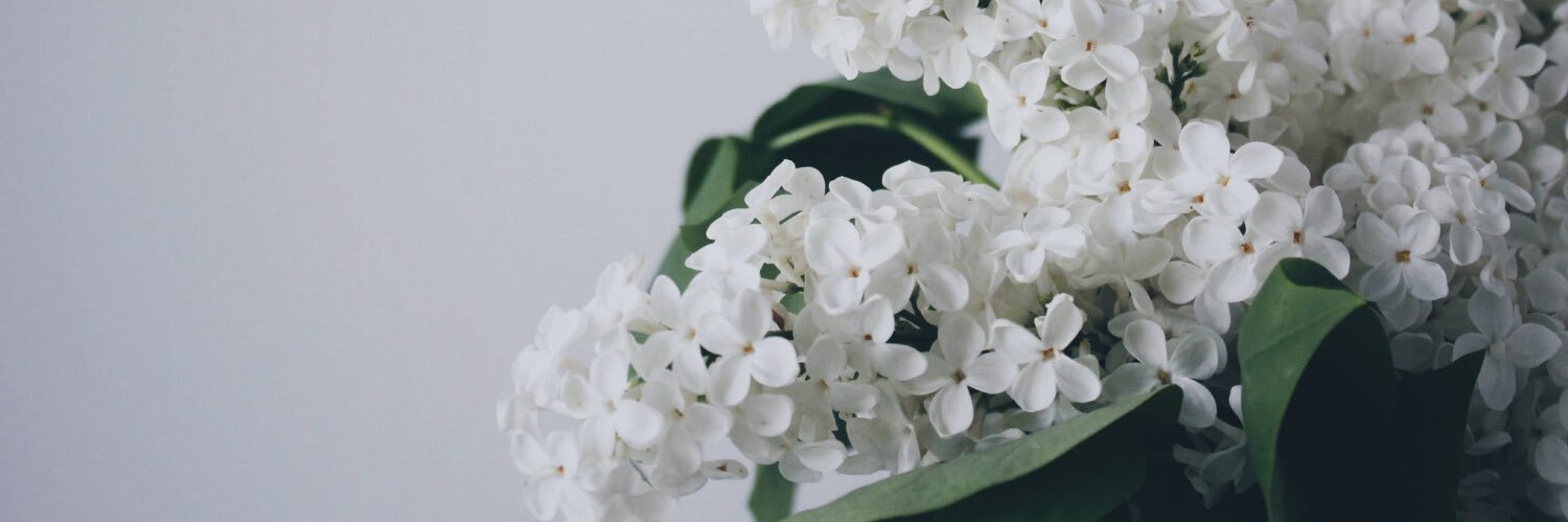 naaa05190519's profile banner image