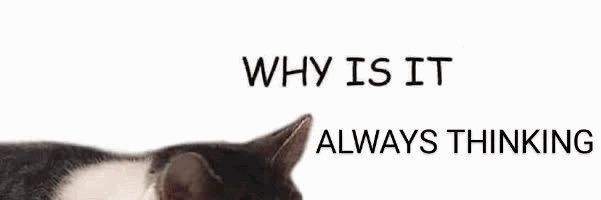 mayonaison's profile banner image