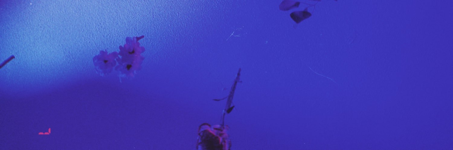 fior3llaa's profile banner image