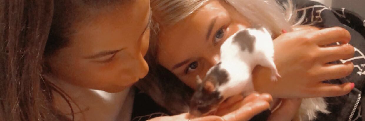em😗 banner