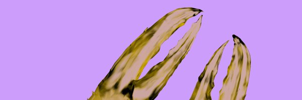 IsdrsP Profile Banner