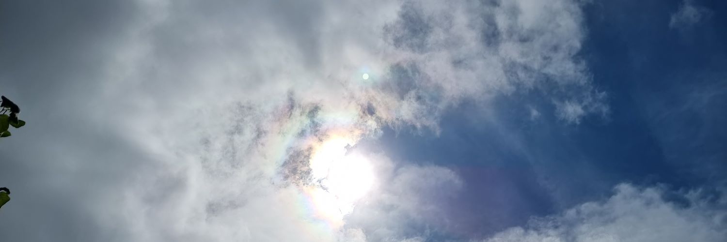 PyrateAsylum's profile banner image