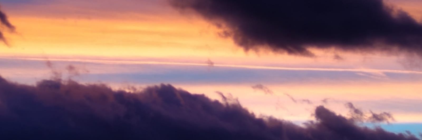 SusanaDoctorWho's profile banner image