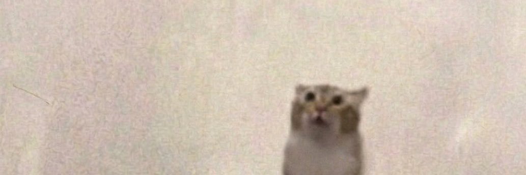 SadCanbie's profile banner image