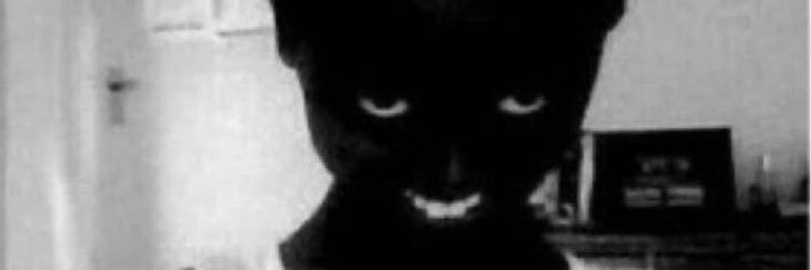 THIS USER IS SAD 🦅🇧🇪🦍's banner