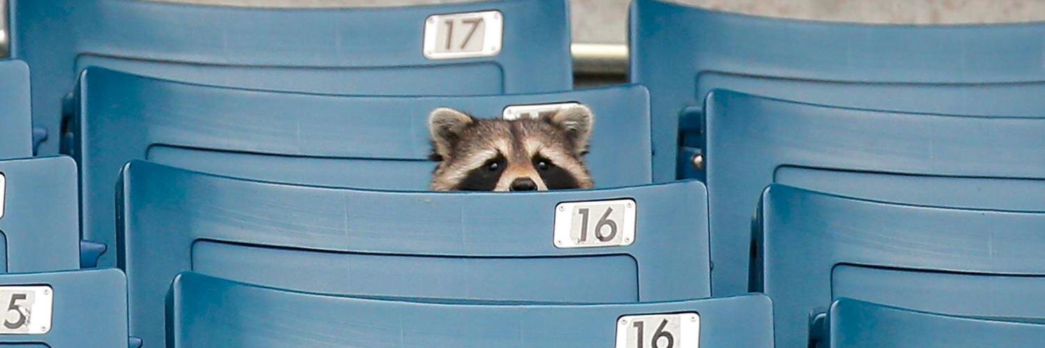 Andrew Vazzano banner