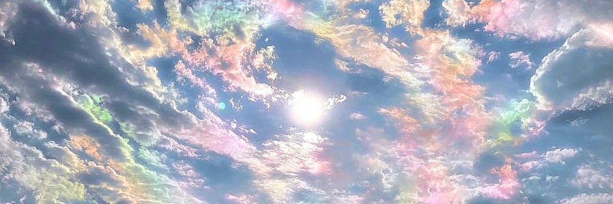 ~~~ banner