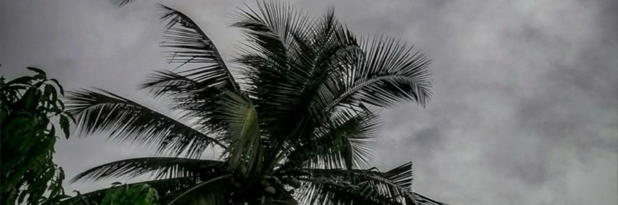 Sali_m5's profile banner image