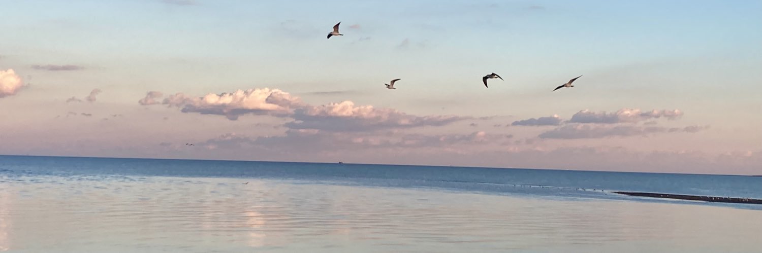 RobinStombaugh's profile banner image