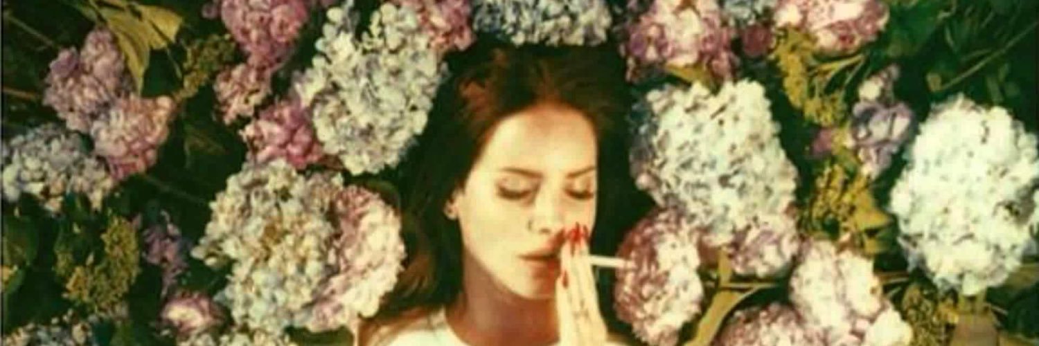 LoveeMichelle1's profile banner image