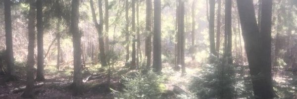 cyb3rgrI Profile Banner