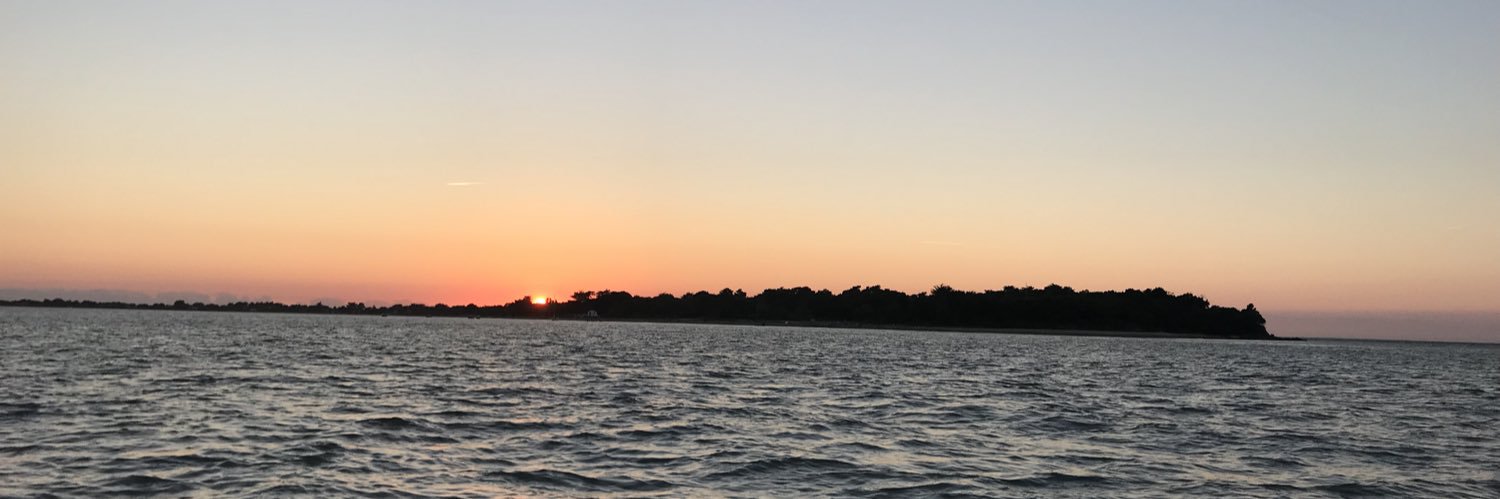 vincent maffi banner