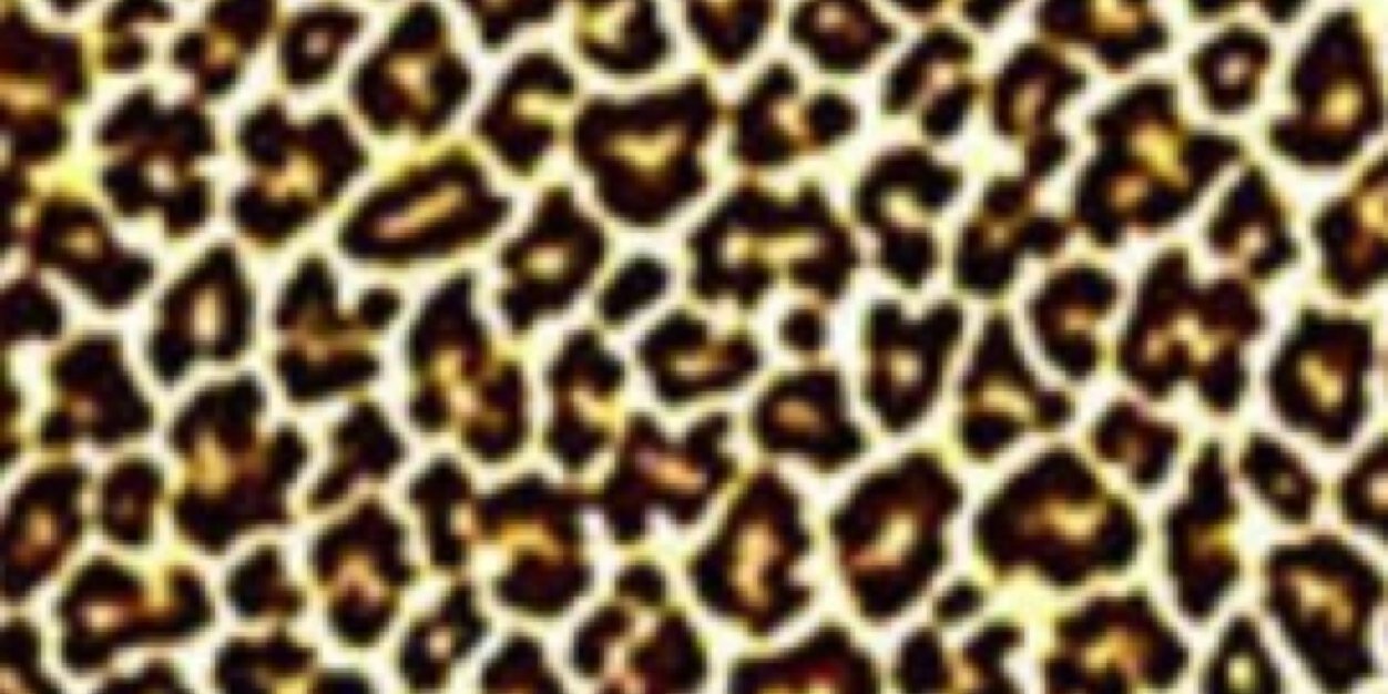Emily_loveX's profile banner image