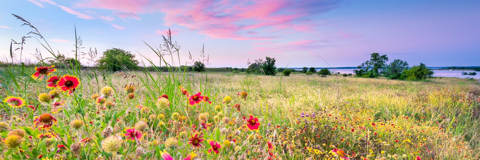 Plateau Land & Wildlife banner