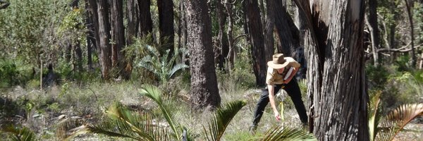 _TomMansfield Profile Banner