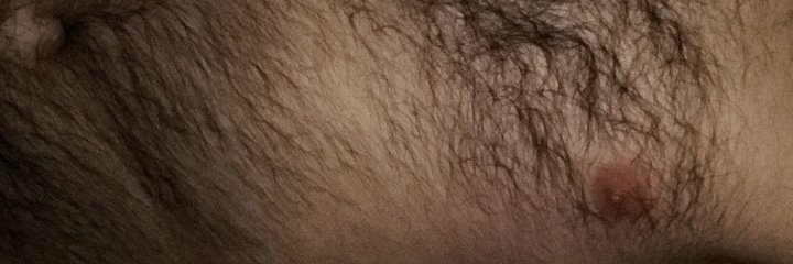 BardBeardy's profile banner image
