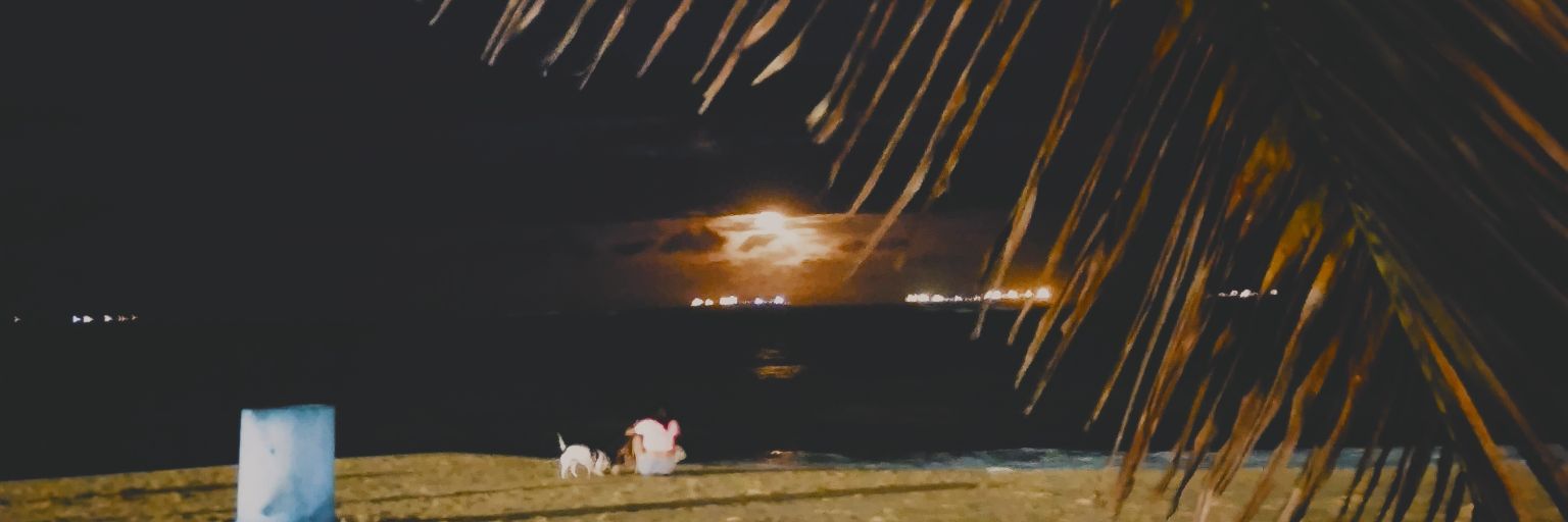 babizf1's profile banner image