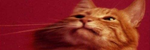 SleepyOMUSUBI's profile banner image