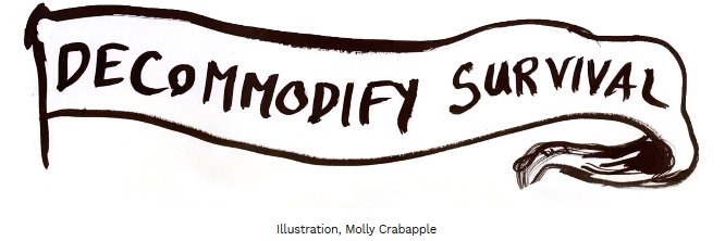 Broward County DSA banner